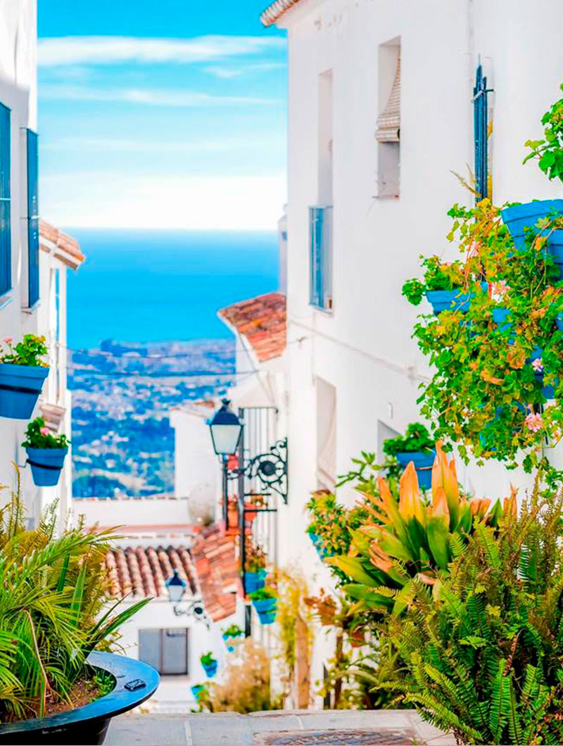 jerez de la frontera cadiz 1