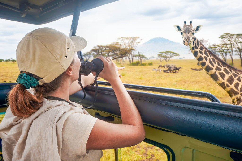 young woman watching a giraffe on safari in serengeti national park tanzania 1